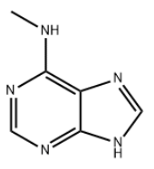 N6-Methyladenine